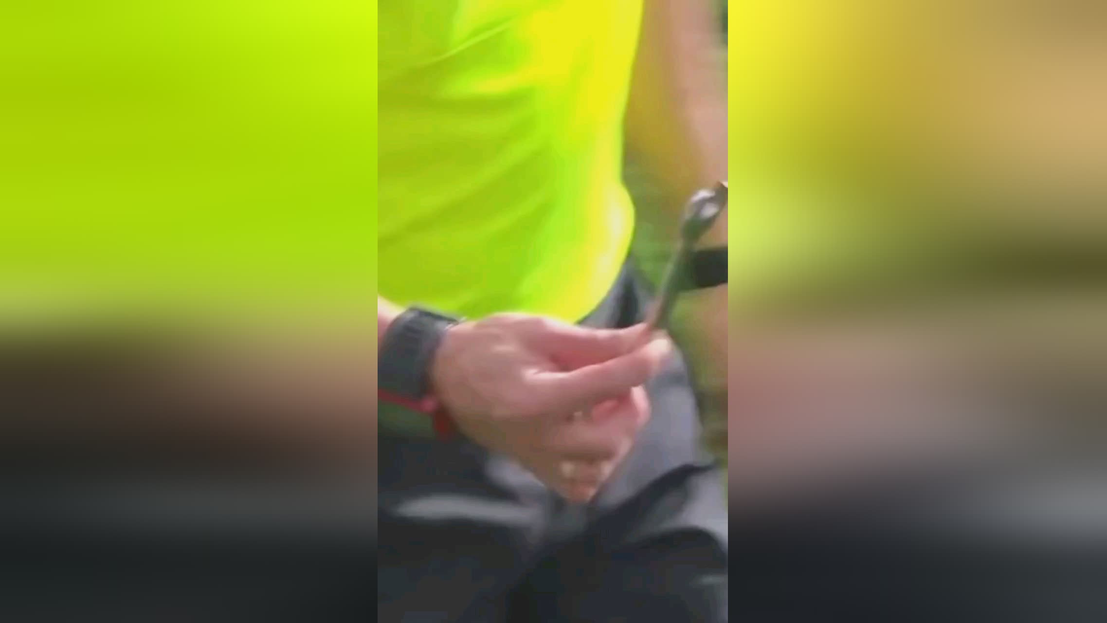 郑佳乐-初级工程师